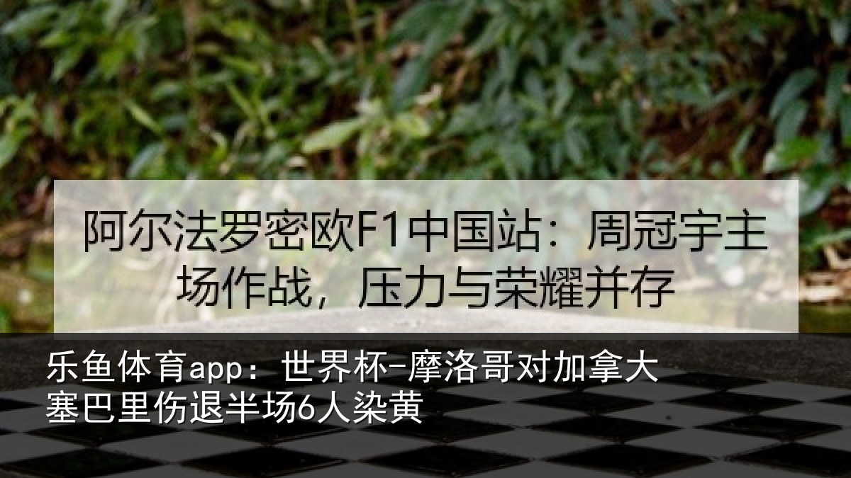 乐鱼体育app：世界杯-摩洛哥对加拿大塞巴里伤退半场6人染黄
