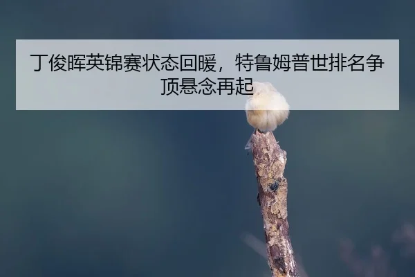 ding-jun-hui-ying-jin-sai-zhuang-tai-hui-nuan-te-lu-mu-pu-shi-pai-ming-zheng-ding-xuan-nian-zai-qi-2-527.jpg