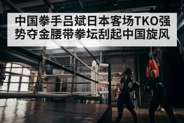 boxer training in gym